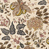 Madagascar - Sanderson