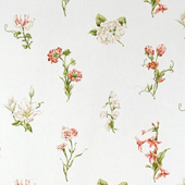 Country Flowers - Sanderson