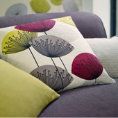 Dandelion Clocks - Sanderson